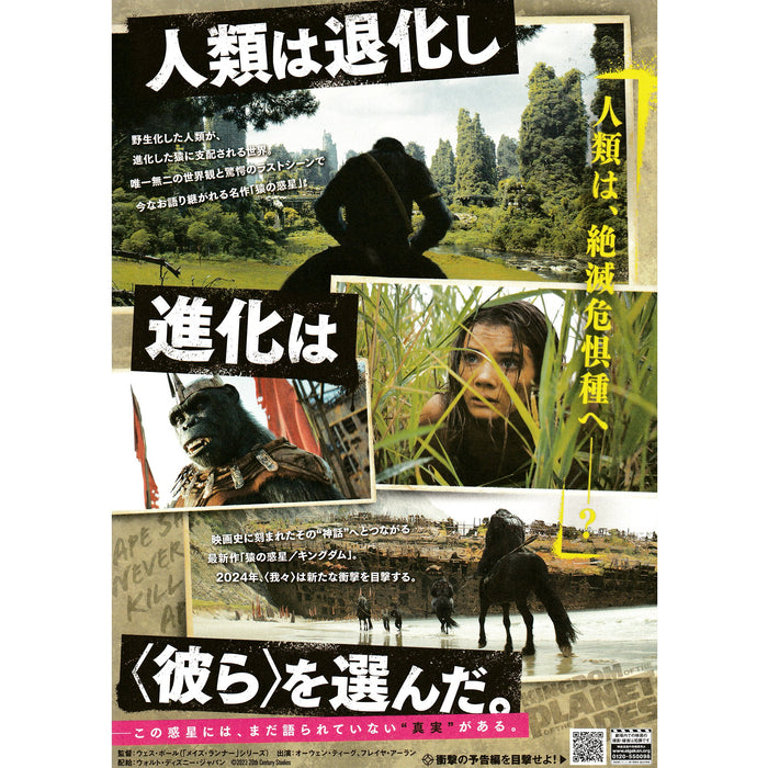 New Japanese Chirashi B5 Mini Movie Poster Kingdom Of The Planet Of The Apes - Sugoi JDM