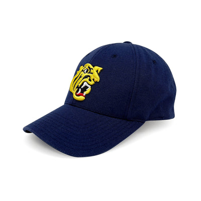 Genuine Retro Japan NPB Hanshin Tigers Baseball Team Cap Hat Black - Sugoi JDM