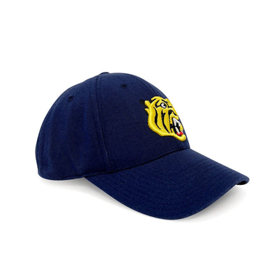 Genuine Retro Japan NPB Hanshin Tigers Baseball Team Cap Hat Black - Sugoi JDM