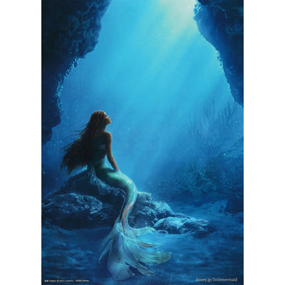 New Japanese Chirashi B5 Mini Movie Poster Disney The Little Mermaid 2023 - Sugoi JDM