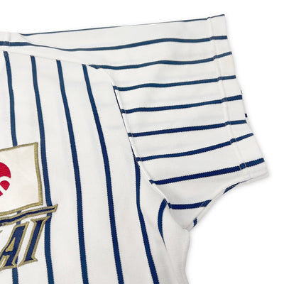 Retro Japan Mizuno Koshien Tokai Sugao High School Pin Stripe Baseball Jersey #22 - Sugoi JDM